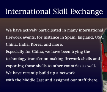 International Skill Exchange