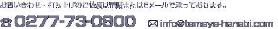 お問い合わせ・打ち上げのご依頼は電話またはEメールで承っております。TEL：0277-73-0800 MAIL：info@tamaya-hanabi.com