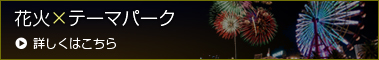 テーマパーク×花火